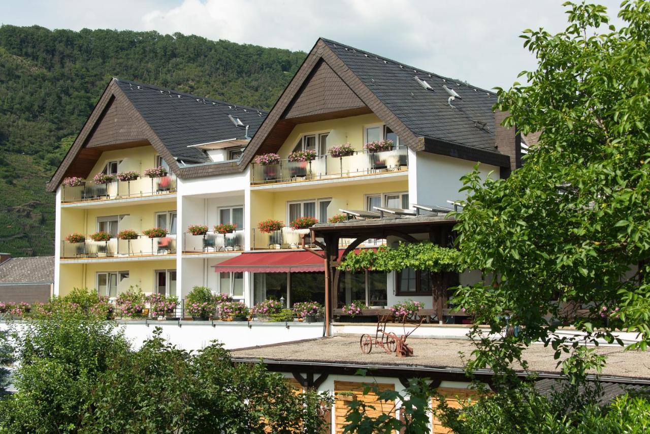 Weinhotel Sonnenschein Ernst Exterior photo