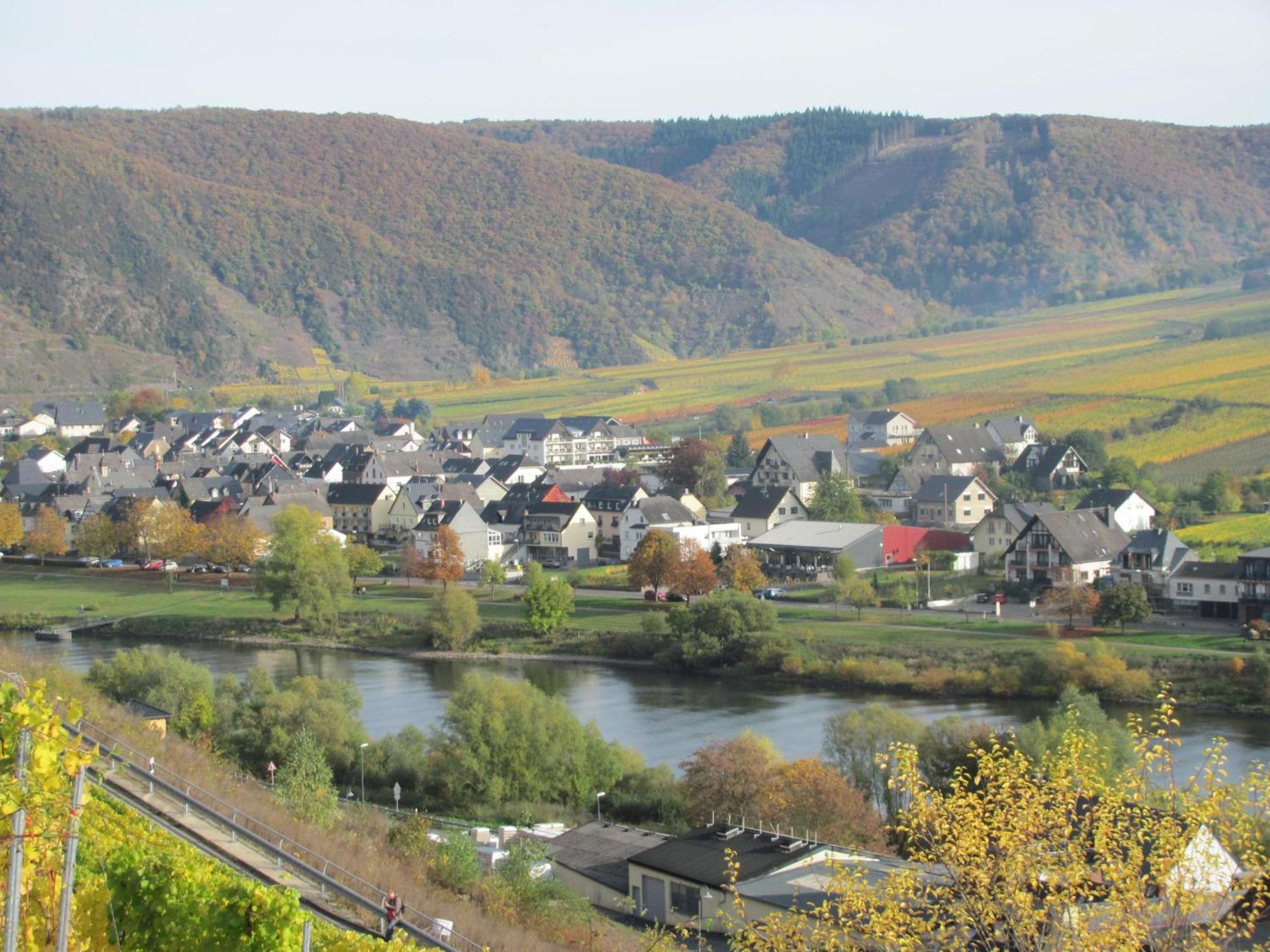 Weinhotel Sonnenschein Ernst Exterior photo